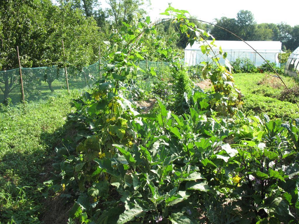 Bioagriturismo Vegan Campo Di Cielo Cesiomaggiore Εξωτερικό φωτογραφία
