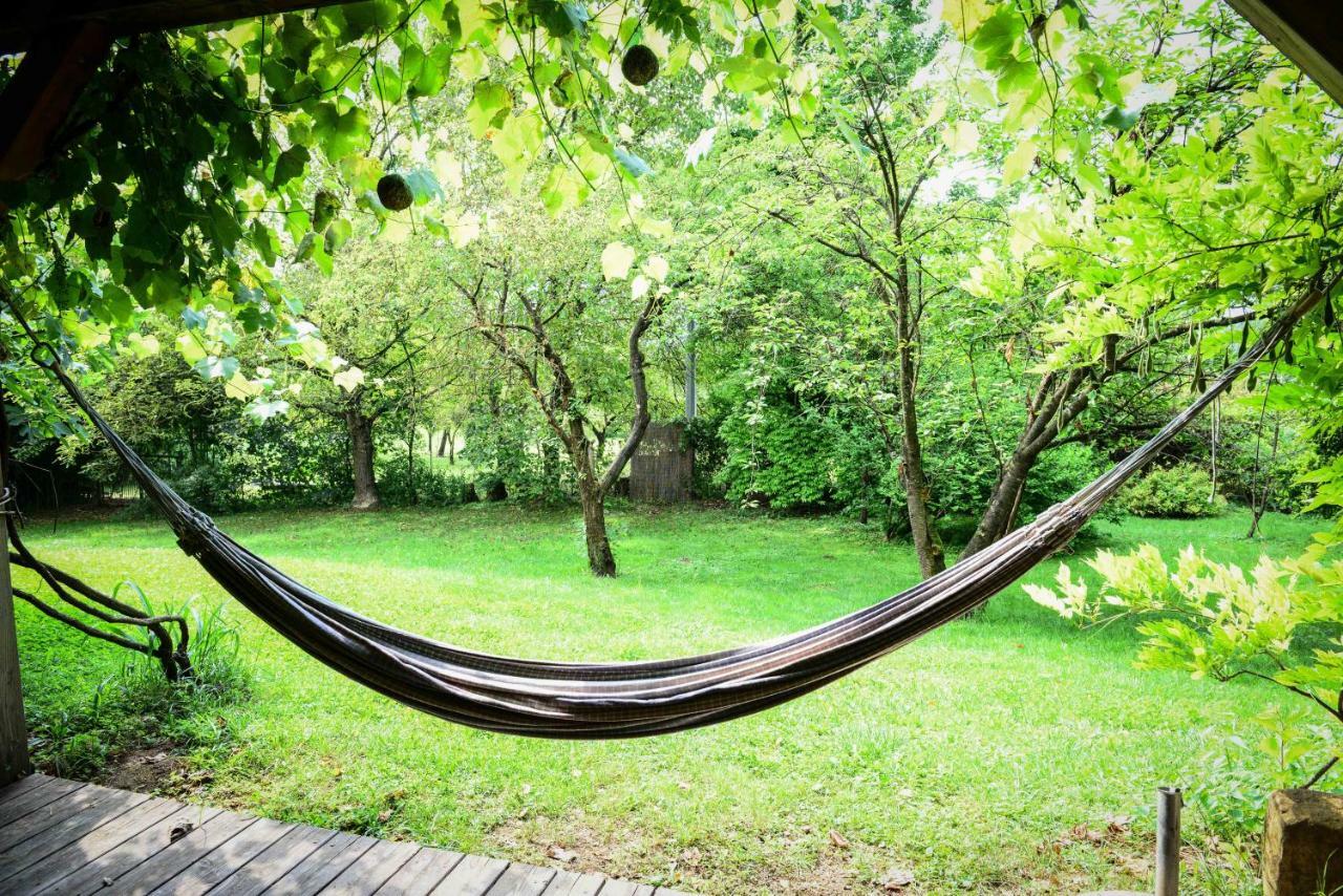 Bioagriturismo Vegan Campo Di Cielo Cesiomaggiore Εξωτερικό φωτογραφία